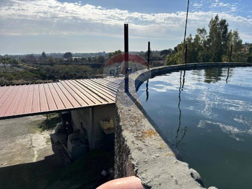 Agricultural land in Viagrande