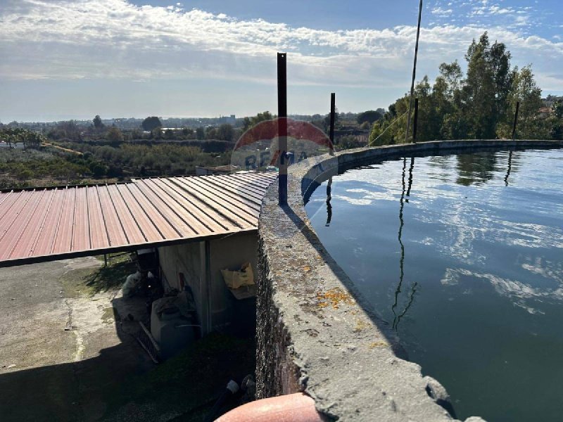 Agricultural land in Viagrande