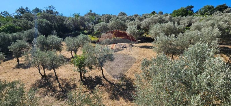 Villa i Alcara li Fusi