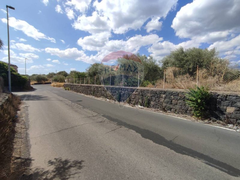 帕泰尔诺农用土地