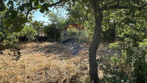 格拉维纳-迪卡塔尼亚建筑用地