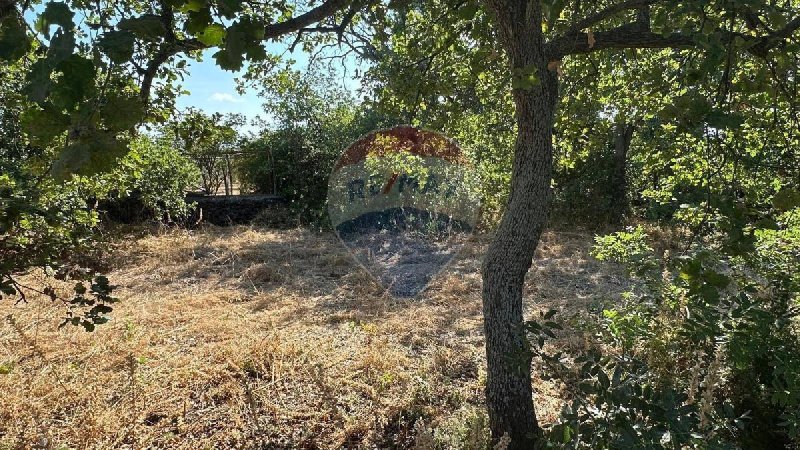 格拉维纳-迪卡塔尼亚建筑用地