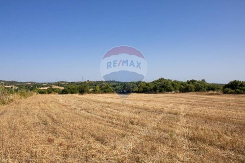 Сельскохозяйственный участок в Ното