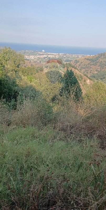 Сельскохозяйственный участок в Калатабьано