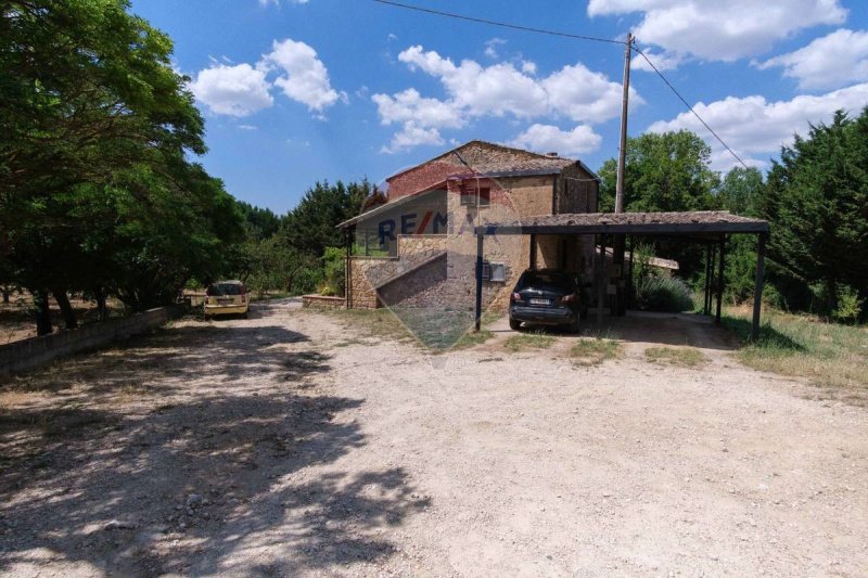 皮亚扎-阿尔梅里纳乡间房屋