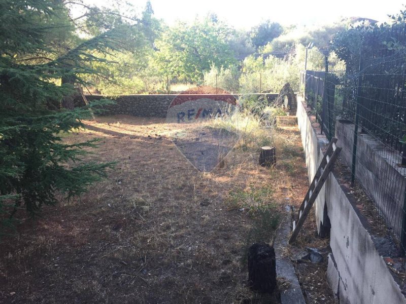 Сельскохозяйственный участок в Педара