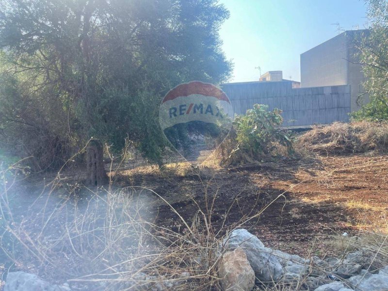 Terreno para construção em Solarino