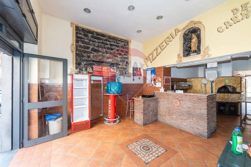 Zakelijk onroerend goed in Catanië