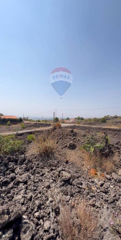 贝尔帕索农用土地