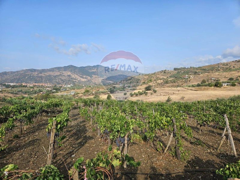 Agricultural land in Bronte