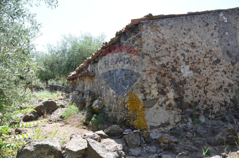 Hus på landet i Adrano