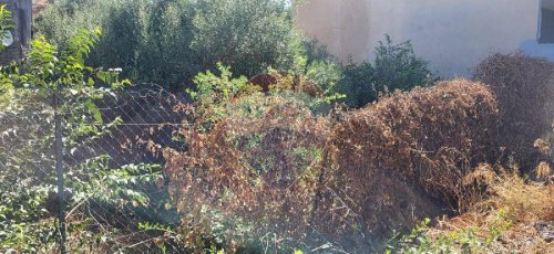 Building plot in Paterno