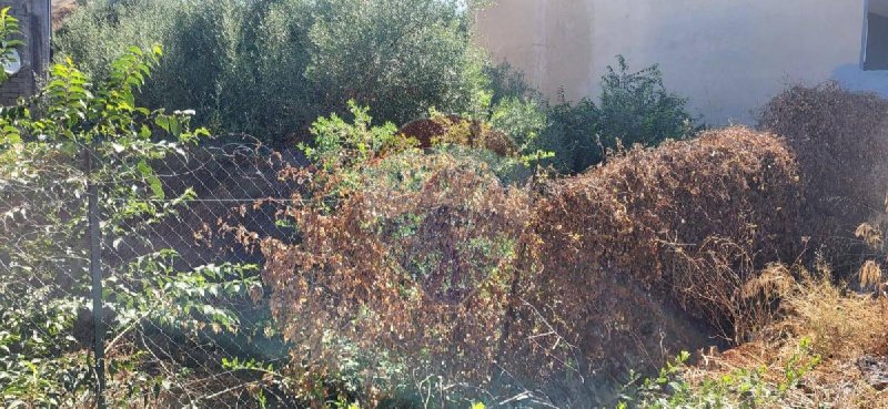 Bouwgrond in Paternò