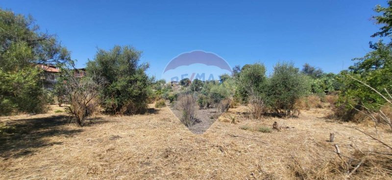 Terrain à bâtir à Paternò
