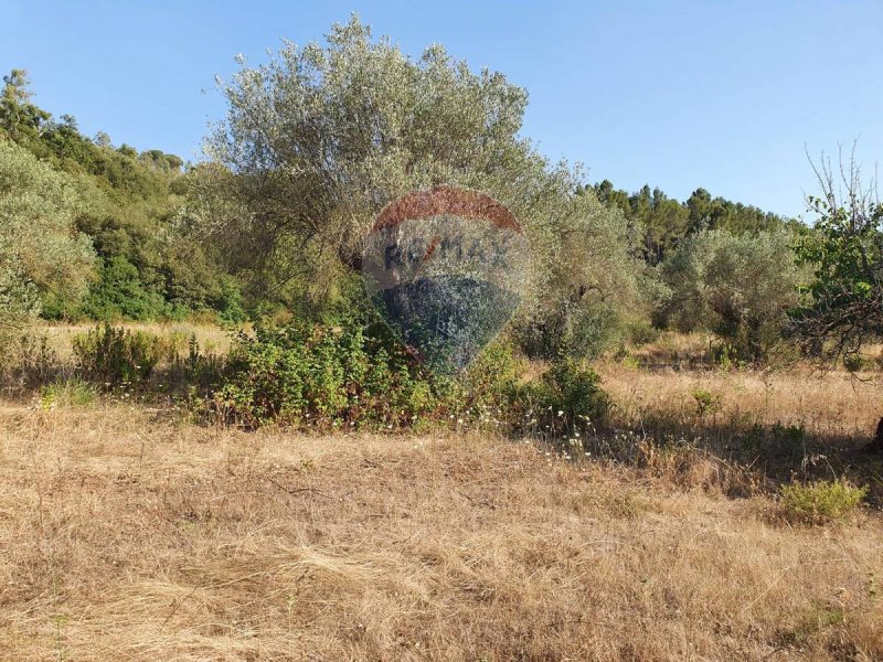 Landbouwgrond in Caltagirone