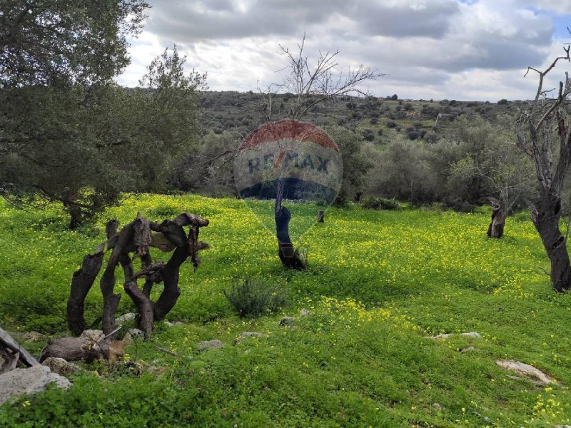 Terreno agrícola em Siracusa
