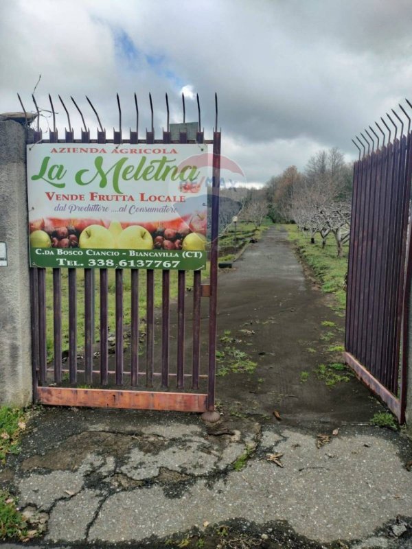 Terreno agrícola em Biancavilla