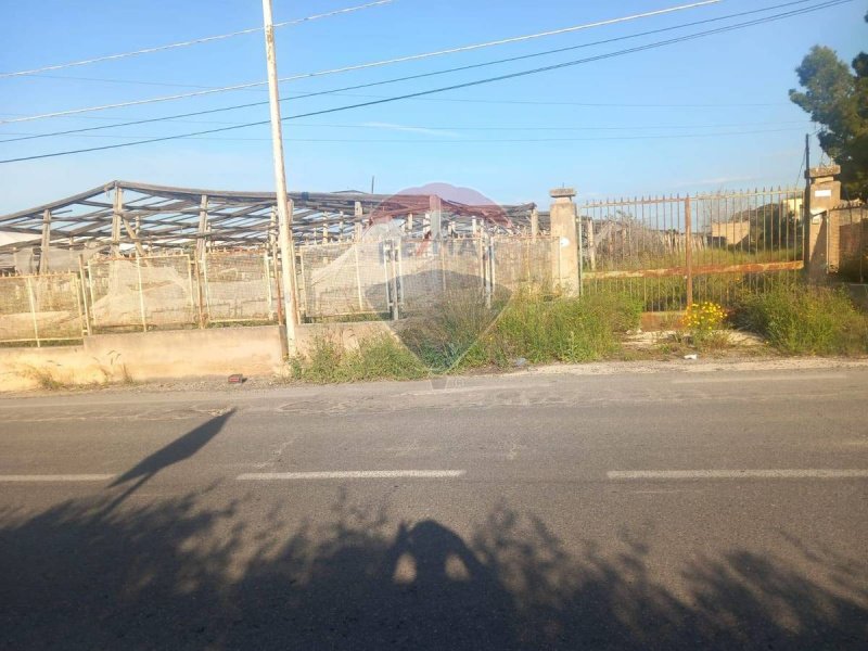 Terreno agrícola en Vittoria