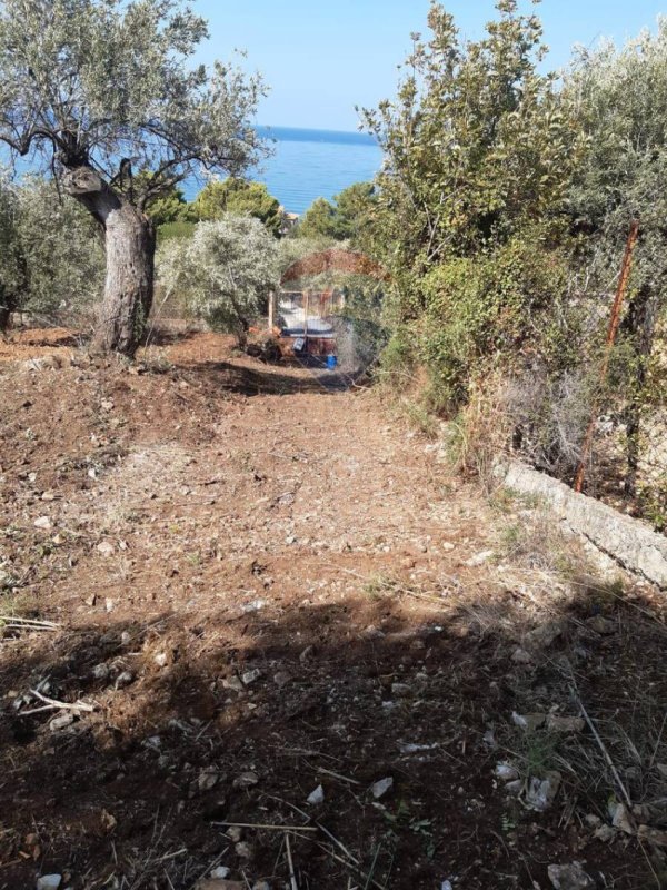 Terrain agricole à Termini Imerese