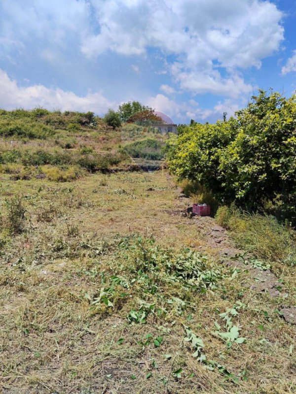 Terreno agrícola en Santa Venerina