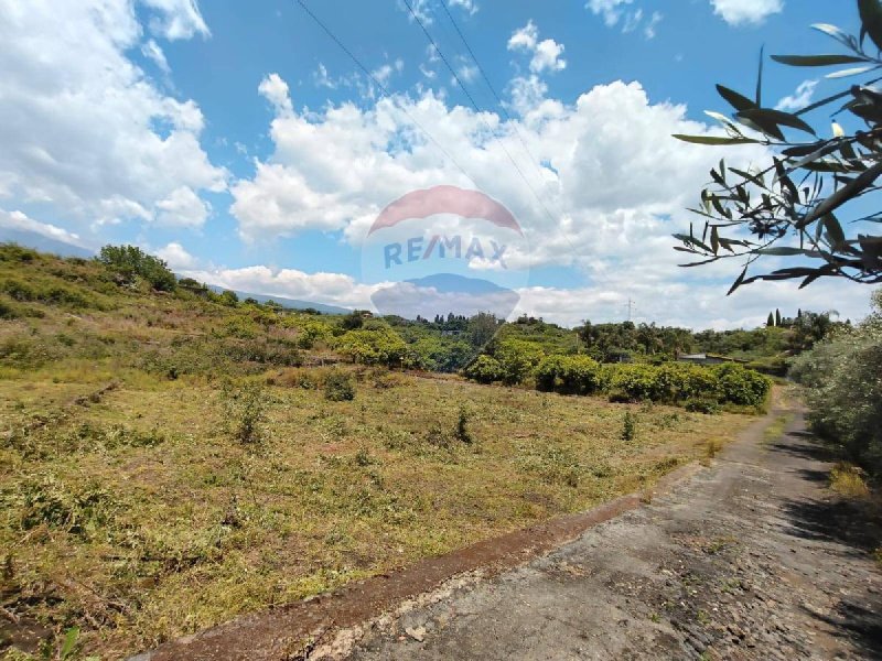 Terreno agrícola en Santa Venerina