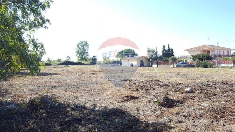 Landbouwgrond in Catanië