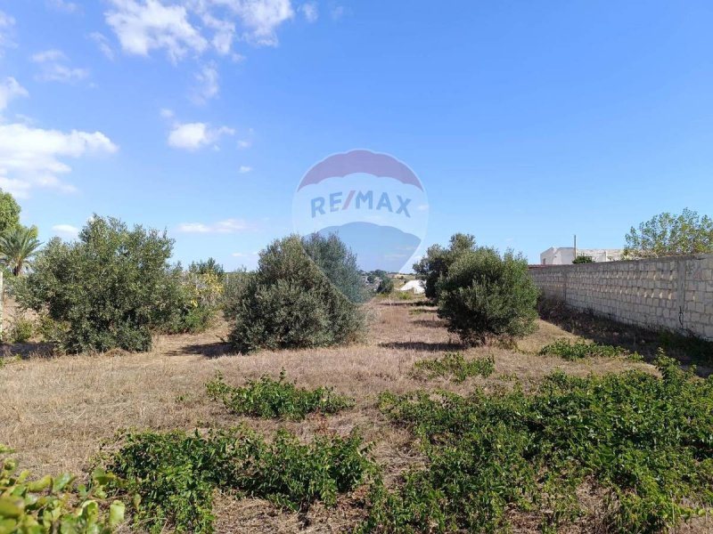 Terreno agricolo a Pachino