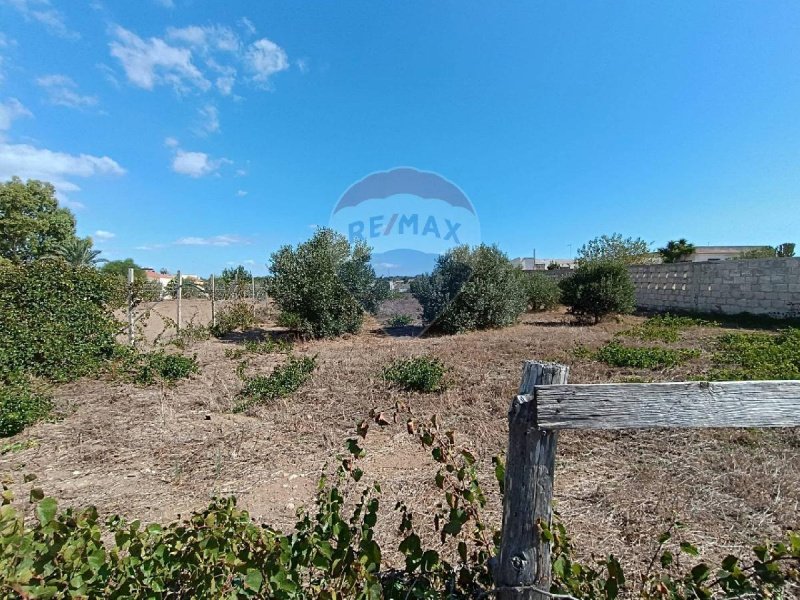 Terreno agricolo a Pachino