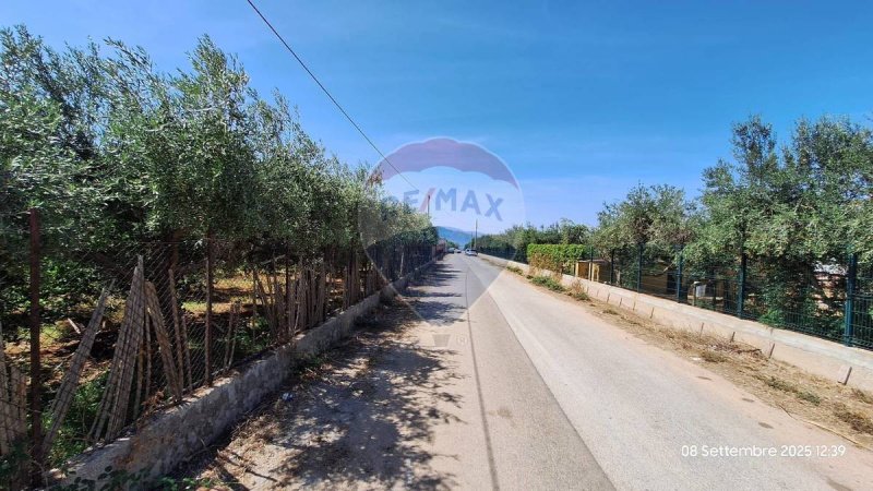 Terreno agrícola em Terrasini
