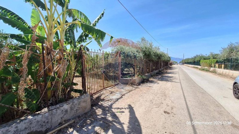 Terreno agrícola em Terrasini