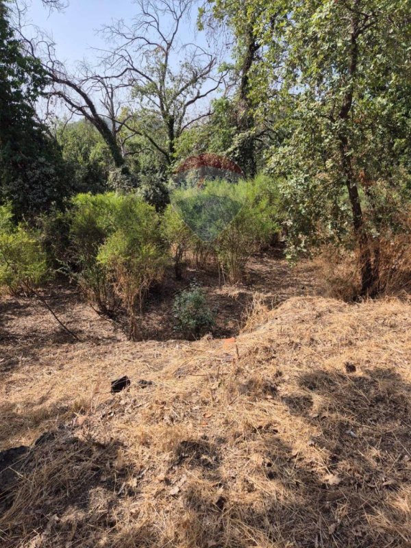 Terreno agrícola em Acireale