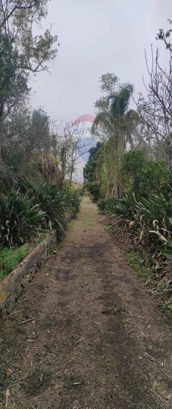Agricultural land in Riposto