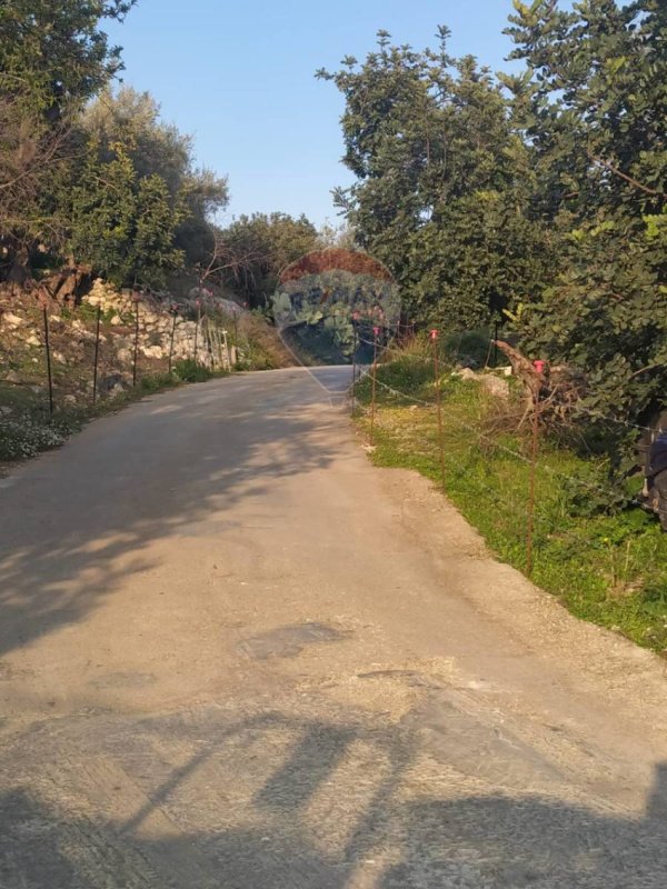 Сельскохозяйственный участок в Модика