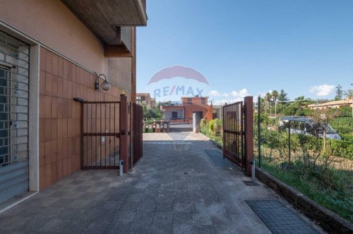 卡尔塔吉罗内商业房产