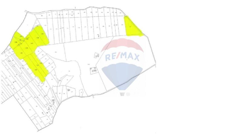 基亚拉蒙特古尔菲农用土地