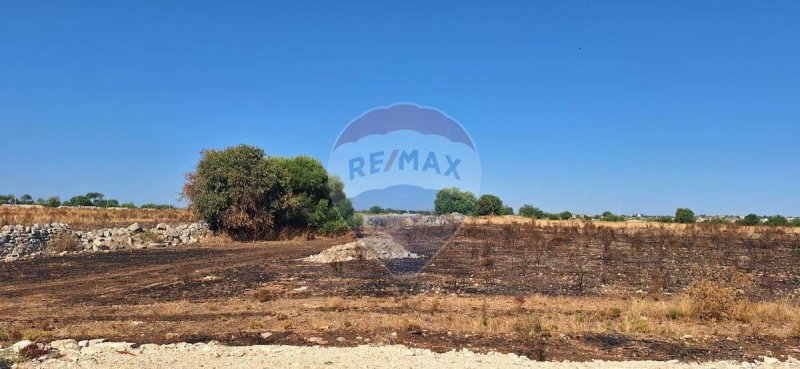 罗索利尼建筑用地