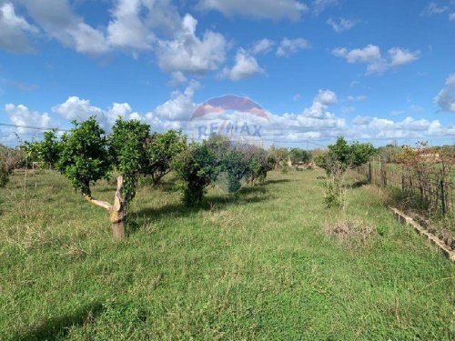 Landbouwgrond in Terrasini