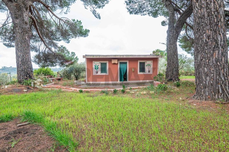 皮亚扎-阿尔梅里纳别墅