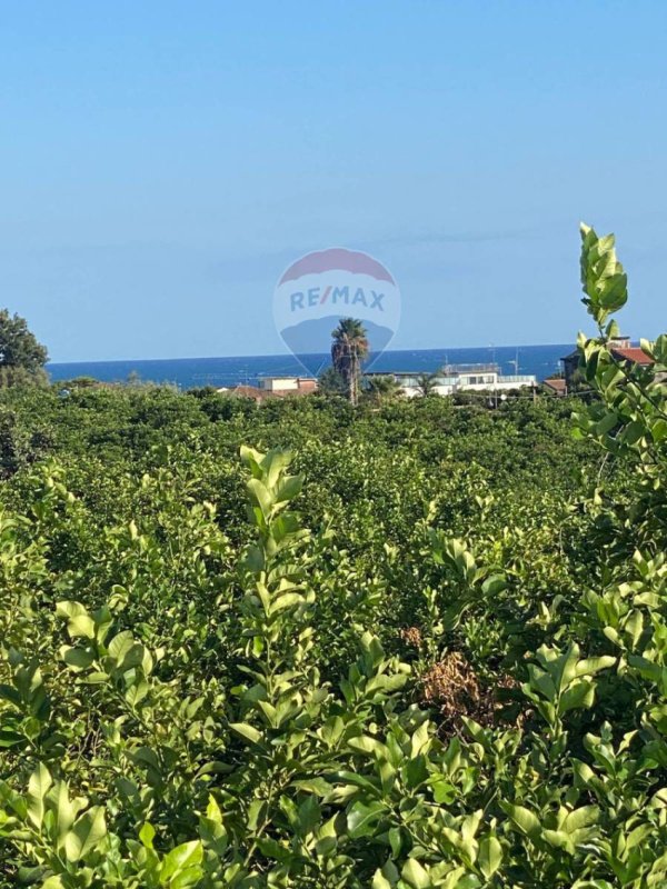 阿奇雷亚莱农用土地