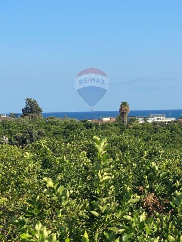 阿奇雷亚莱农用土地