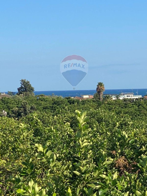 阿奇雷亚莱农用土地