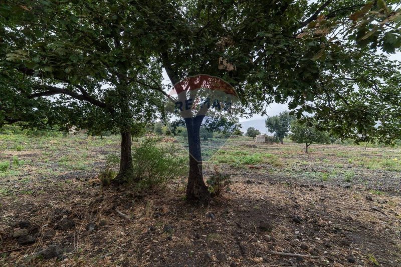 兰达佐农用土地