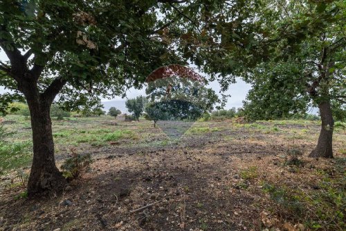 兰达佐农用土地