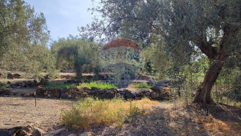 Terreno agrícola en Paternò