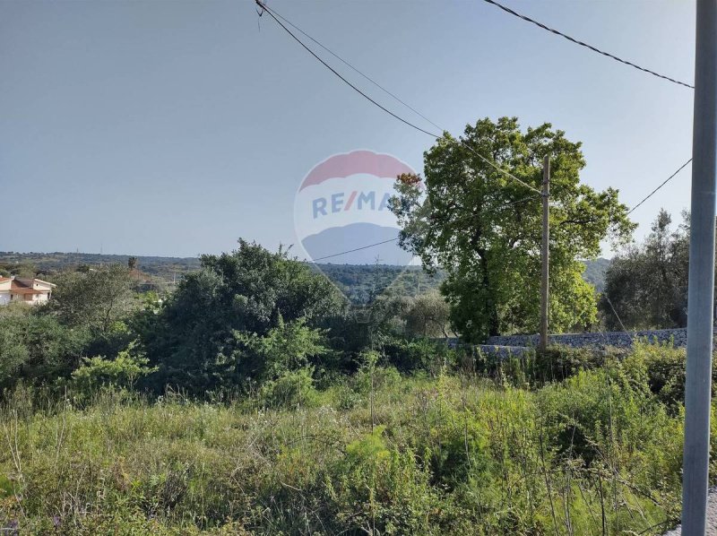 梅利利农用土地