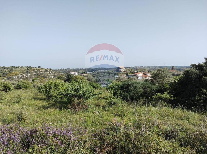 梅利利农用土地