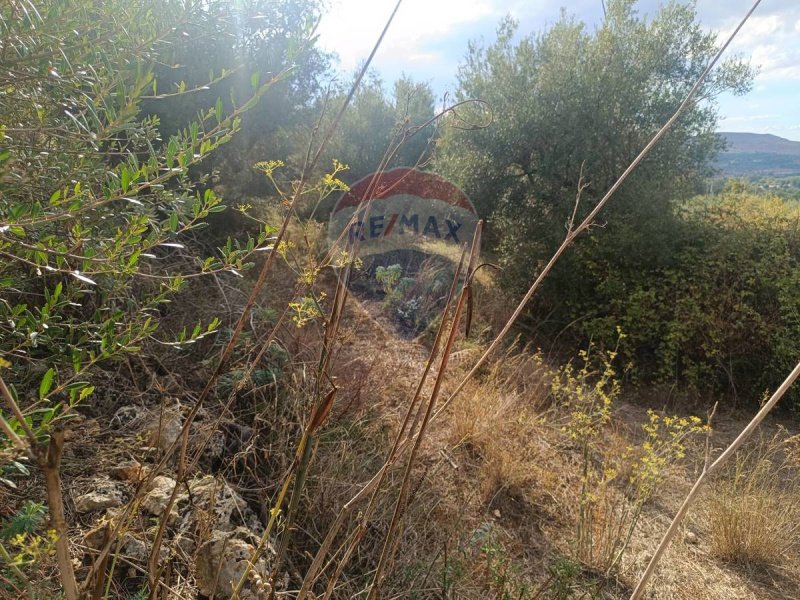 Terreno agricolo a Sortino