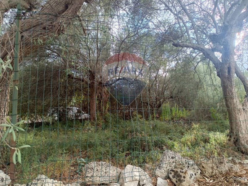 Landwirtschaftliche Fläche in Sortino