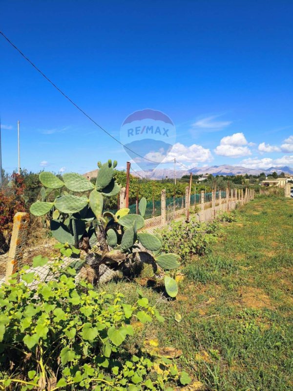 Сельскохозяйственный участок в Партинико