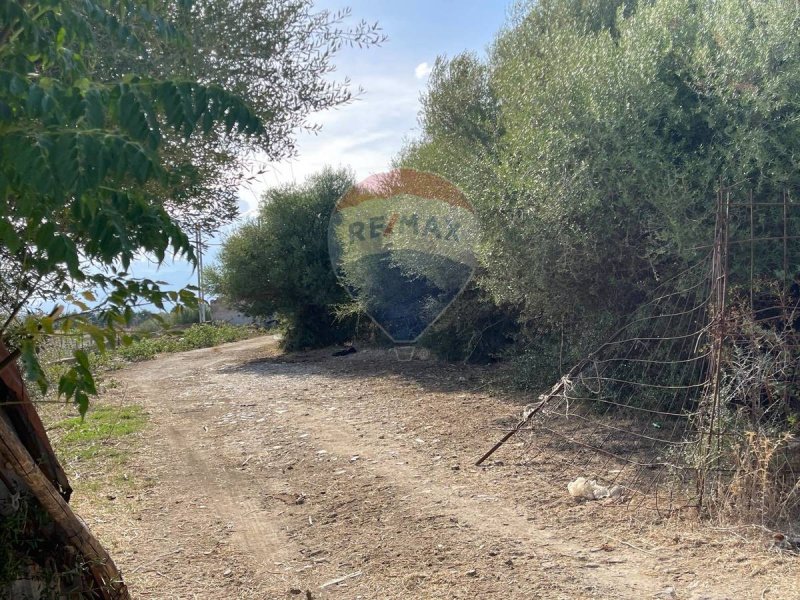 Landbouwgrond in Terrasini